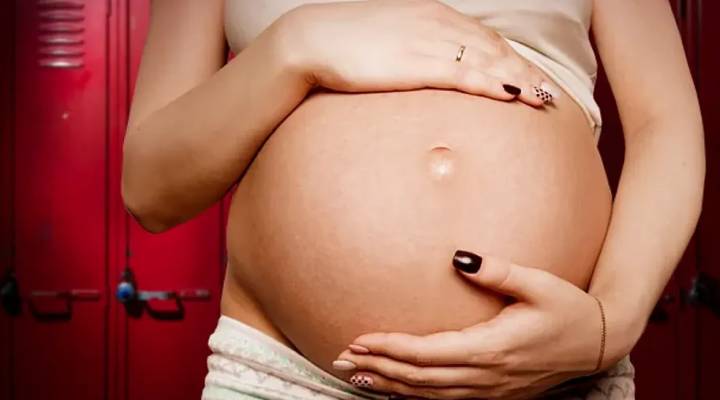 Importance of Nutrition Prior to Pregnancy and Nutritional Requirements for a Pregnant Woman