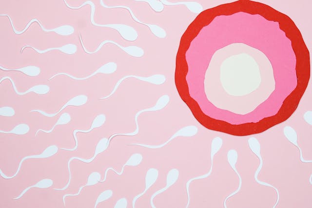 Preparing For Sperm Donation: A Comprehensive Guide For Potential Donors